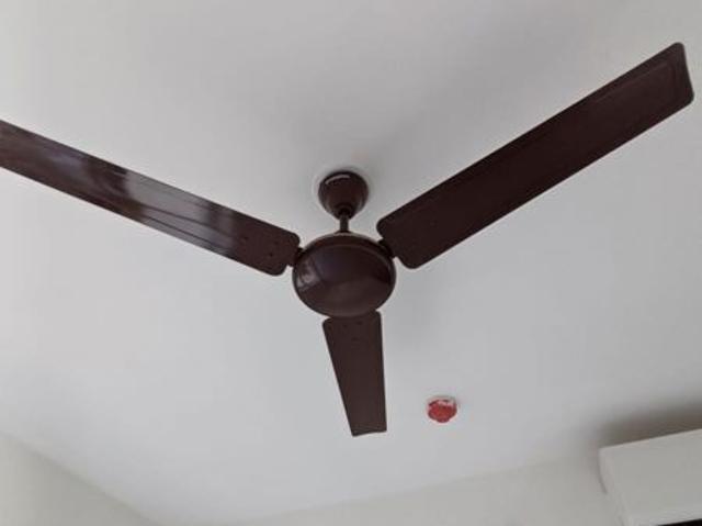 Flat for rent in Lodha Amara, Thane