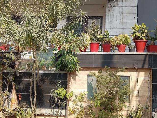 Property for rent in Chauma, Gurugram