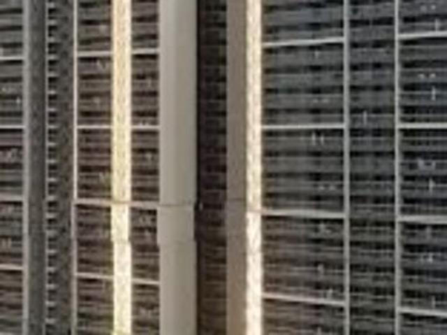 Flat for rent in Sector 43, Noida
