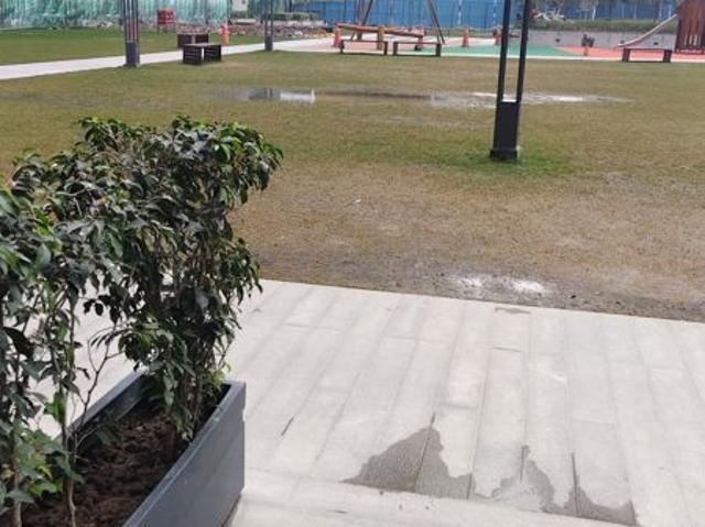 Flat for rent in Sector 43, Noida