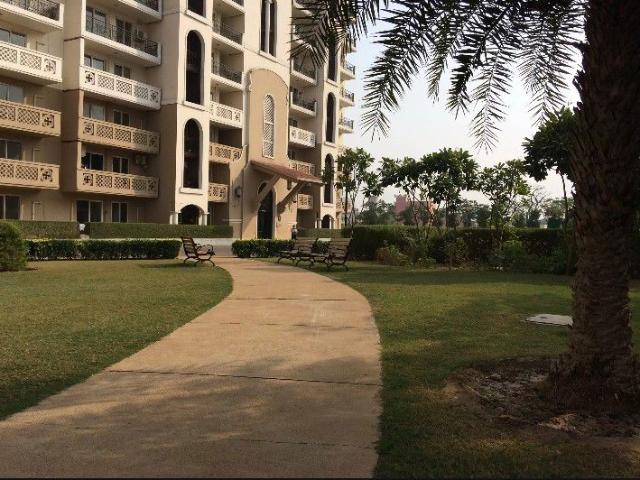 Flat for rent in New Town Heights, Gurugram