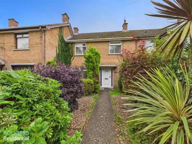 House to rent