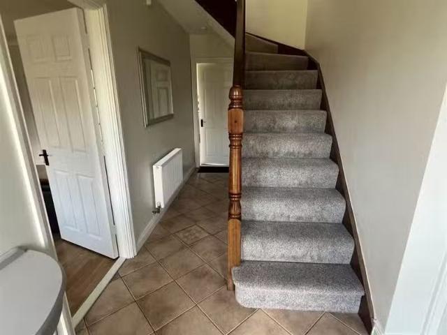 House to rent