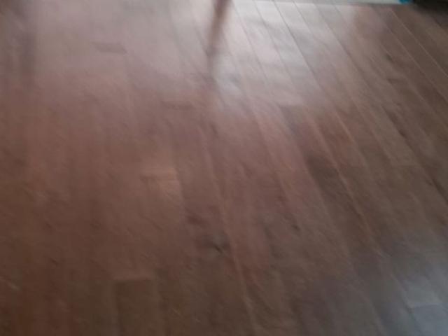Flat for rent in Park Prime, Gurugram