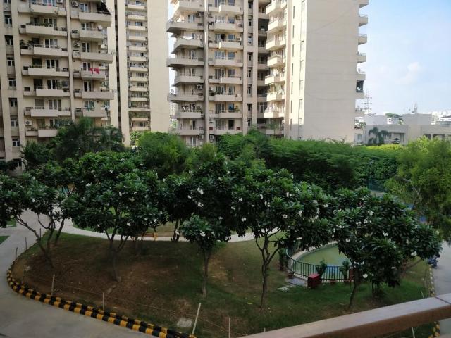 Flat for rent in Sushant Lok III, Gurugram