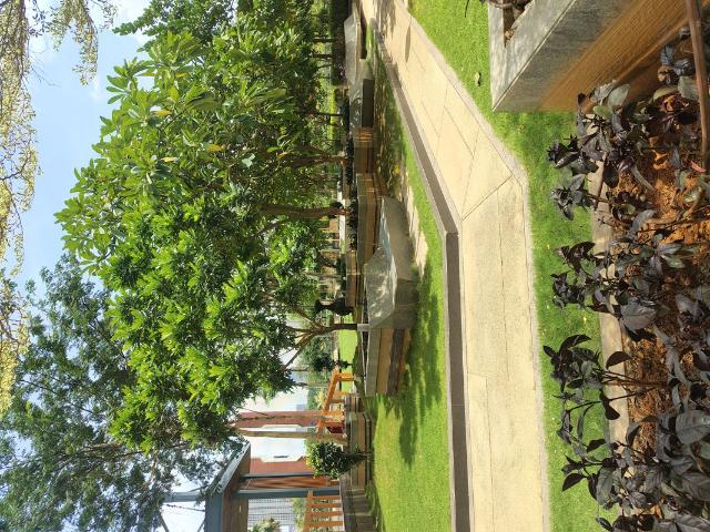 Flat for rent in Kothaguda, Hyderabad
