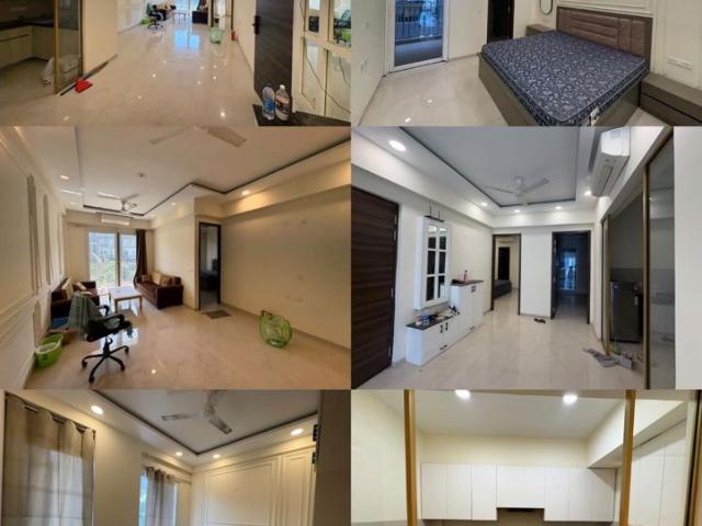 Property for rent in C Block Sushant Lok 1, Gurugram