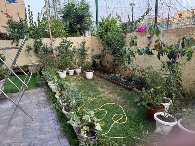 Flat for rent in Emerald Hills, Gurugram