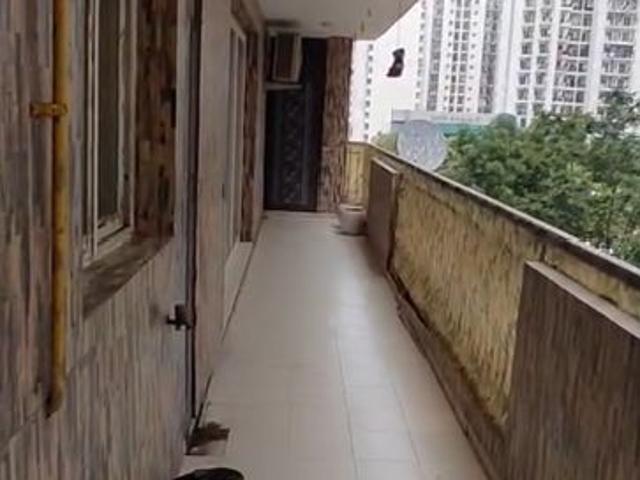 Flat for rent in Noida, Gautam Buddha Nagar