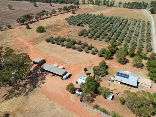 House for rent in Tullamore, New South Wales