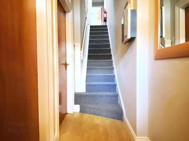House to rent