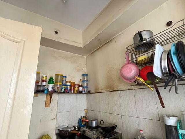 Flat for rent in Sector 137, Noida