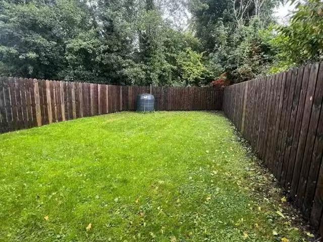 House to rent