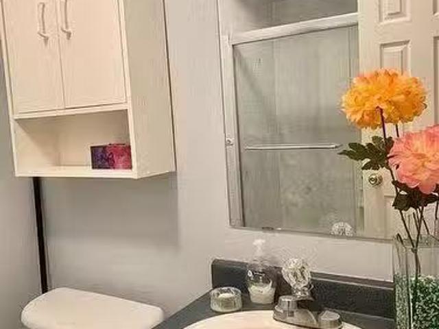 House for rent in York, Ontario