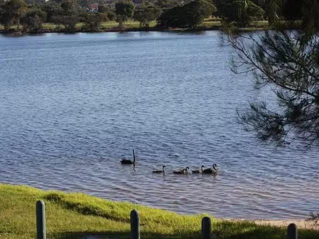 House for rent in Rivervale, Western Australia