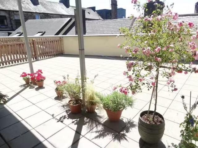 Apartment to rent