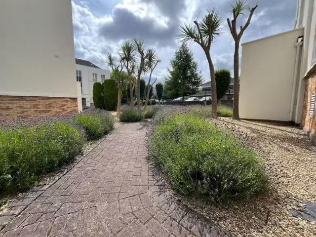 Apartment to rent