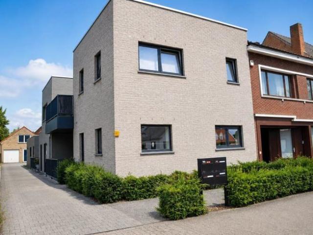 Kot location à Hasselt, Limburg
