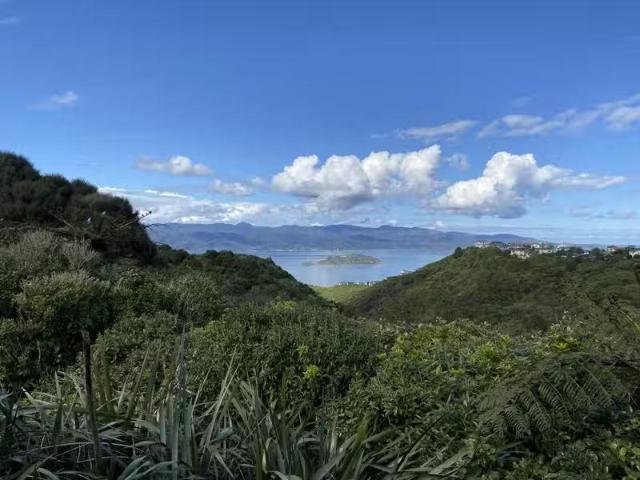 House for rent in Matata, Wellington