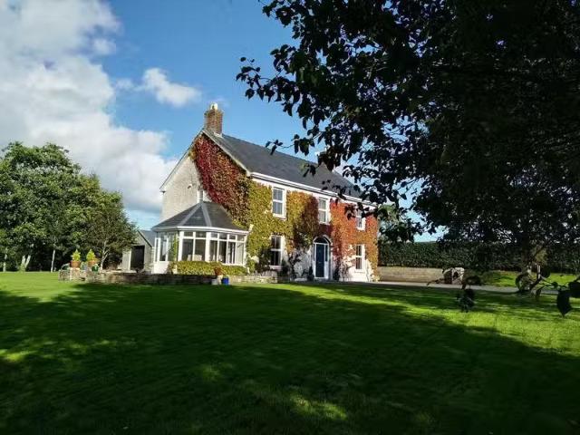 House to rent