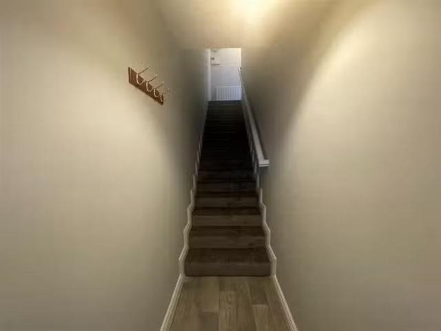 House to rent