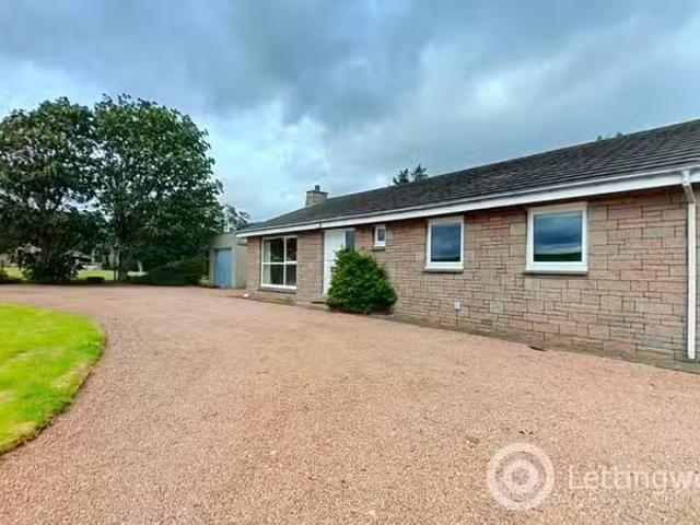 House for rent