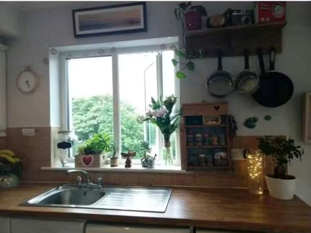 Apartment to rent