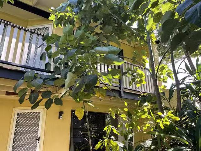 House for rent in Urangan, Queensland