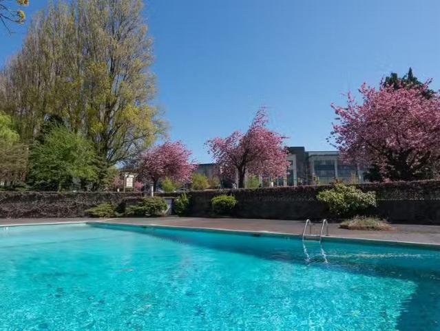 Condo for rent in Vancouver, British Columbia
