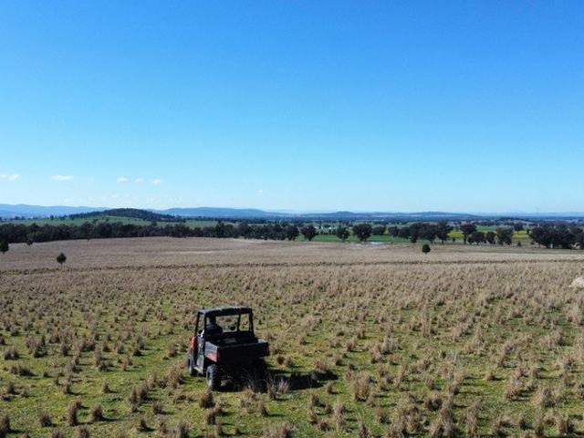 Cottage for sale in Gooloogong, New South Wales