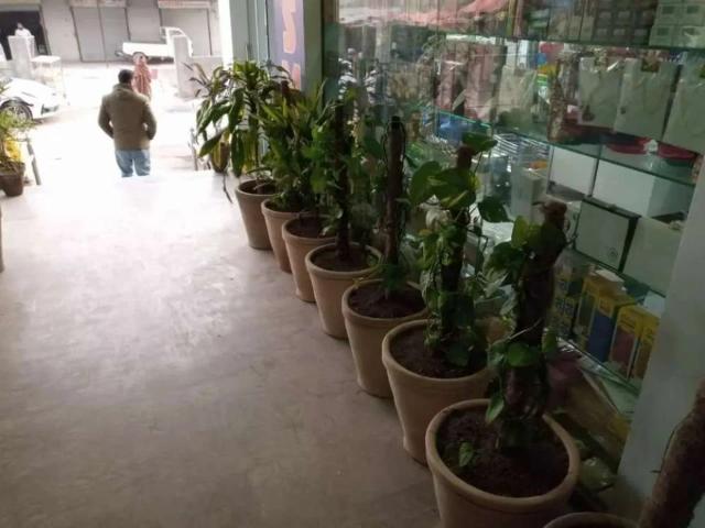Commercial for sale in Islamabad