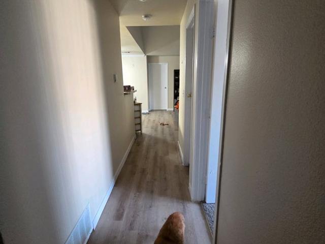 Room for rent in Castle Rock, Colorado