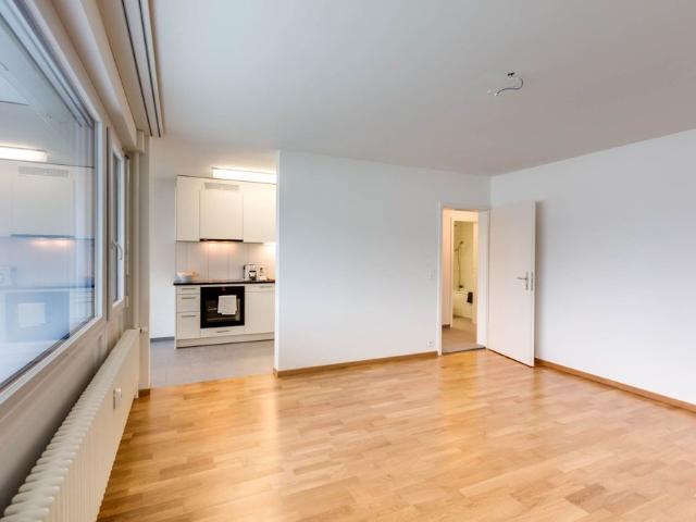 Apartment mieten in Birsfelden, Basel-Landschaft