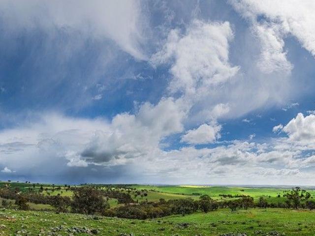 Acreage for sale in Belfrayden, New South Wales