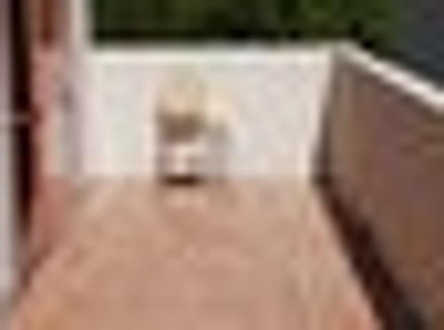 House for rent in Renwick, Marlborough