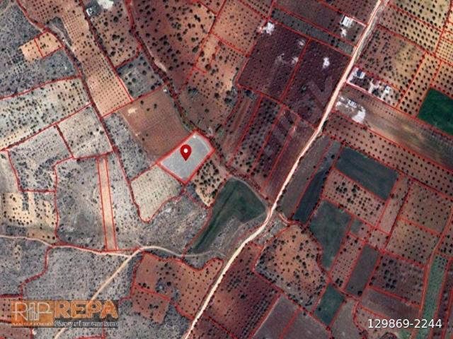 Şahinbey, Gaziantep içerisinde satılık Arsa