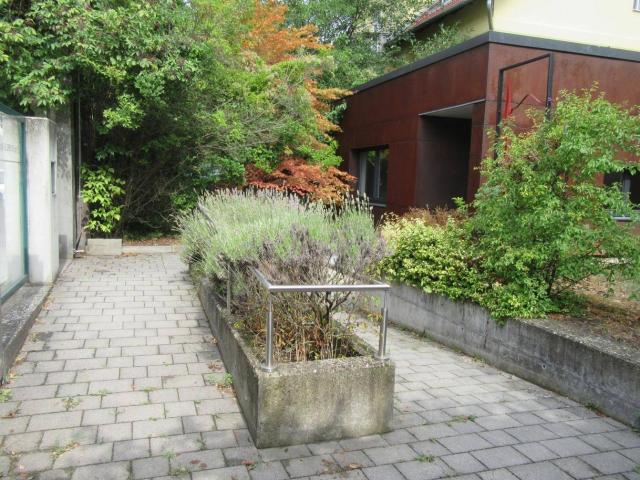 Haus kaufen in Mistelbach, Niederösterreich