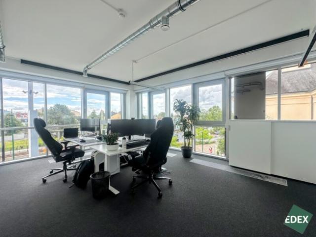 Gewerbe mieten in Wiener Neudorf, Niederösterreich