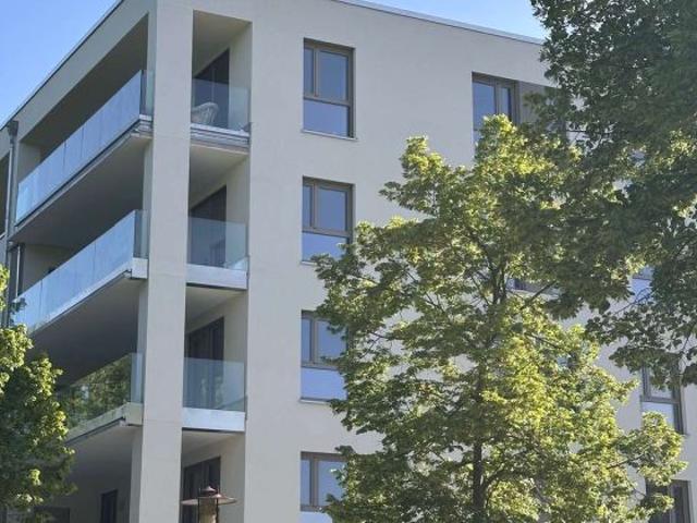 Büro kaufen in Senftenberg, Brandenburg