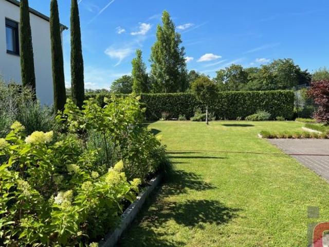 Haus kaufen in Viernheim, Hessen