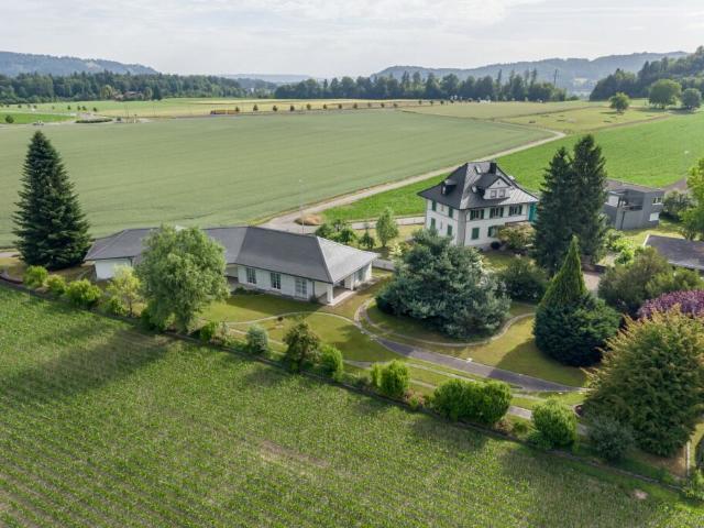 Immobilie kaufen in Felsenkeller, Lenzburg