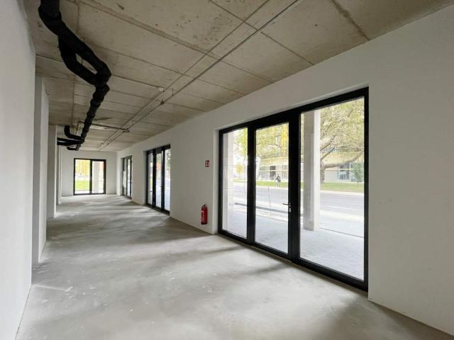 Gewerbe mieten in Katastralgemeinde Graz Stadt-Weinitzen, Graz