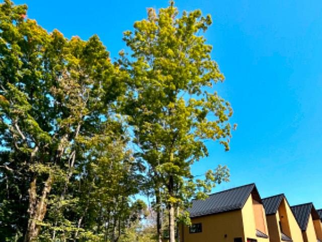House for sale in La Vallée-du-richelieu
