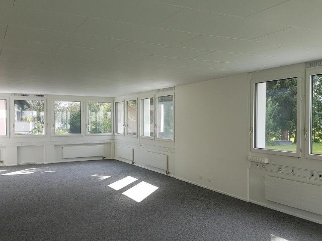 Immobilie kaufen in Hergiswil (NW)