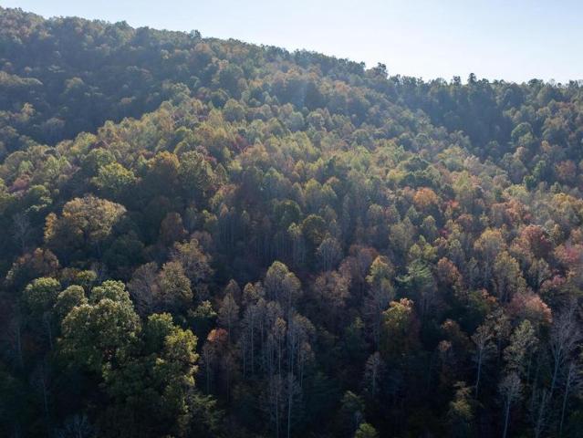 Land for sale in Virginia