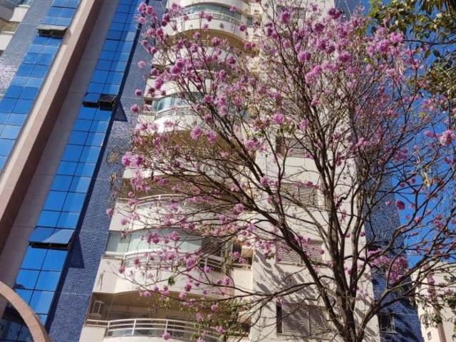 Apartamento venda em Região Geográfica Imediata do Distrito Federal, Região Integrada de Desenvolvimento do Distrito Federal e Entorno