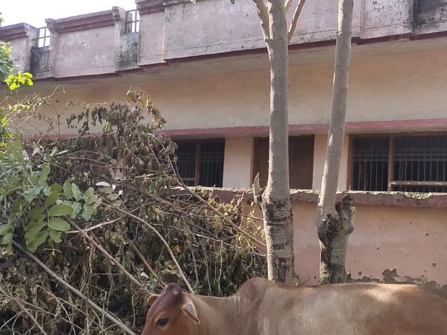 House for sale in Arunachal Pradesh