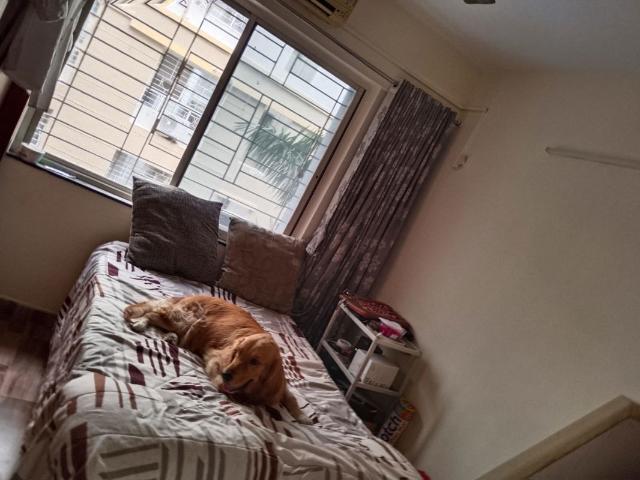 Flat for sale in Haveli, National Capital Territory Of Delhi