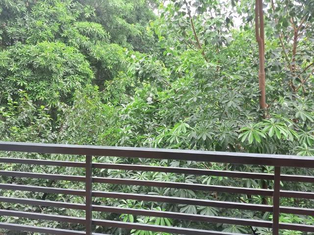 Flat for sale in Sarita Vihar, Delhi