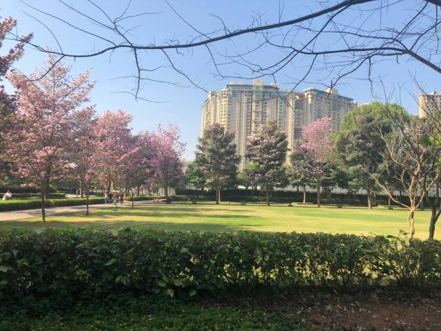 Flat for sale in Bhartiya City, Bengaluru